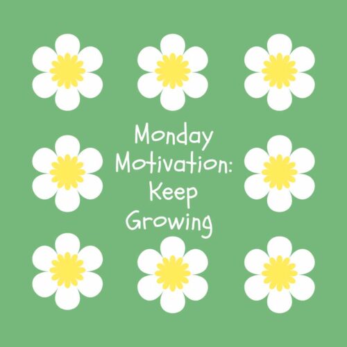 Daisy flowers on green background with Monday Motivation: Keep Growing