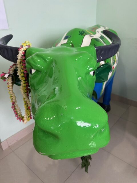 the head and horns of a carabao with leis hung around the horns