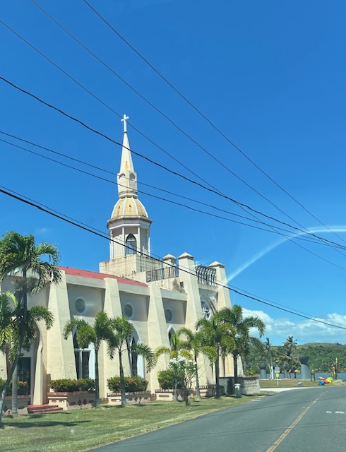 church with spire surrounded by palm trees at lower level.